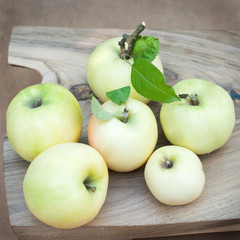 Organic Apples -  Healthy food - Garden fruit  harvest