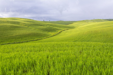 Tuscany landscape