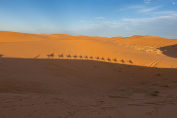 Fototapeta na wymiar Camel caravan far silhouttes in Sahara desert, Merzouga, Morocco