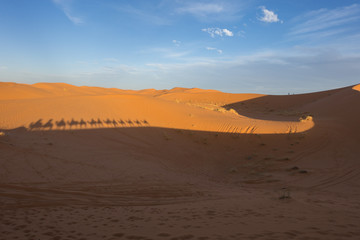 Fototapeta na wymiar Camel caravan shadows in Erg Chebbi, Merzouga, Morocco