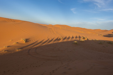 Fototapeta na wymiar Long camel shadow walking in the Sahara desert at sunset, Merzouga, Morocco