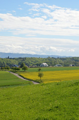 Felder und Wiesen
