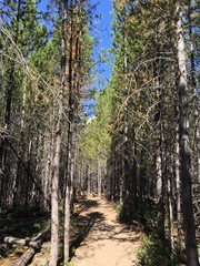 Grand Teton Hiking Trail