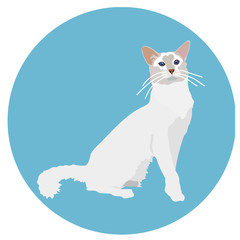 Cats of different breeds. Icons. Vector image in a flat style. Illustration on a round background. Element of design, interface