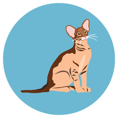 Cats of different breeds. Icons. Vector image in a flat style. Illustration on a round background. Element of design, interface