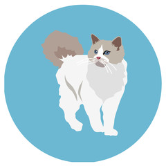Cats of different breeds. Icons. Vector image in a flat style. Illustration on a round background. Element of design, interface