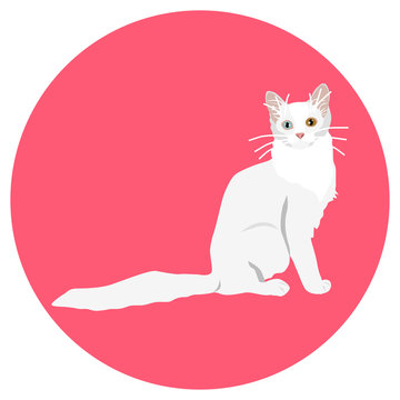 Cats of different breeds. Icons. Vector image in a flat style. Illustration on a round background. Element of design, interface