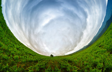 Stereographic panoramic projection of a green field with an aestethic tree