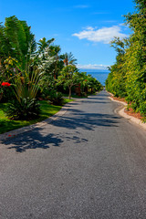 The hotelier area with palm trees and the golf course