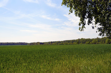 View over green fields in the surrounding countryside of Berlin