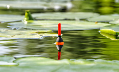Fishing float in the lake among water lily