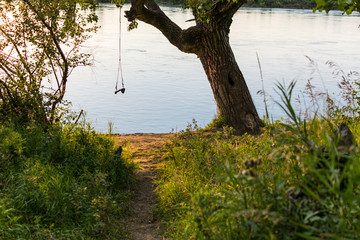 tree swing over water at the end of green path
