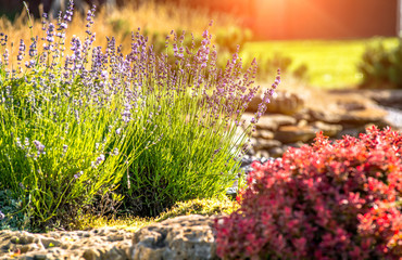 beautiful landscaping with beautiful plants