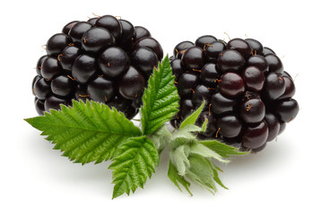 Blackberries