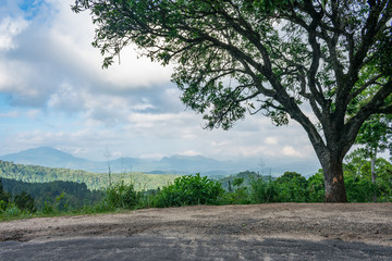 Obraz premium The tree and the mountains