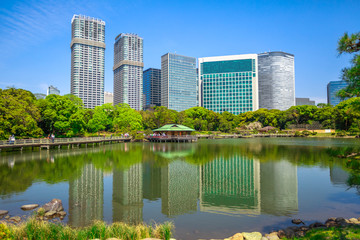 Fototapeta premium Modern buildings of Shiodome in Shimbashi district on background, reflection of Hamarikyu Gardens. Hama Rikyu is a large, attractive landscape garden in Tokyo, Chuo district, Sumida River, Japan.