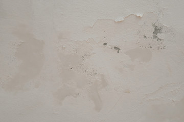 Rain water leaks on the ceiling causing cement damage, peeling paint and moldy.