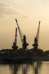 Fototapeta premium Three Cranes by the river
