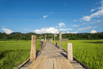 beautiful landscape bamboo bridge , field and sky