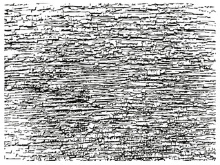 Grunge texture of cracked paint on wood. Vector illustration. Distress background for create vintage, aging pattern with noise, grain, fading, faults and cracks. Black and white.