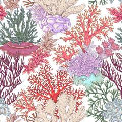 Naklejka premium Coral Reef Pattern