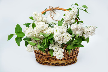 white lilac in a basket with a white tag on white background