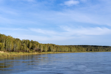Spring forest on the shore of a deep river