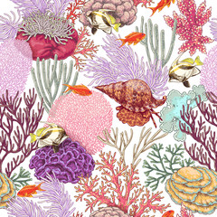 Coral Reef and  Fishes Pattern