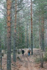 People on the forest