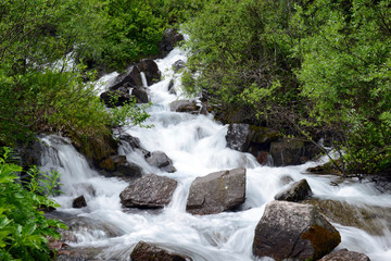 Waterfall cascade and stream in a high elevation forest in Rocky Mountains, a source of clean pure water for hikers and backpackers, though needs filtration before drinking