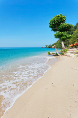 Exotic tropical beach.