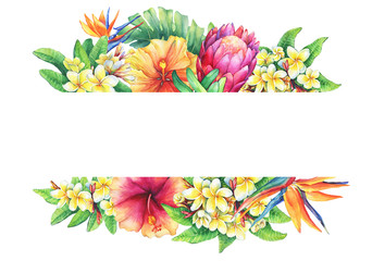 Banner with branches purple protea, plumeria, strelitzia and hibiscus tropical flowers. Horizontal border. Hand drawn watercolor painting on white background. © arxichtu4ki