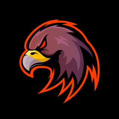 Furious eagle sport vector logo concept isolated on black background