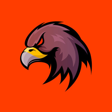 Furious eagle sport vector logo concept isolated on orange background.