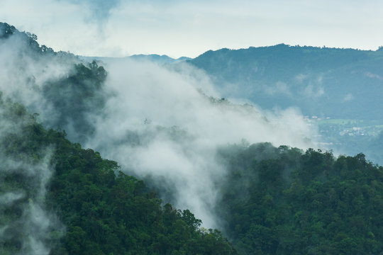 tropical rainforest,Khao Yai National Park Thailand © sittitap
