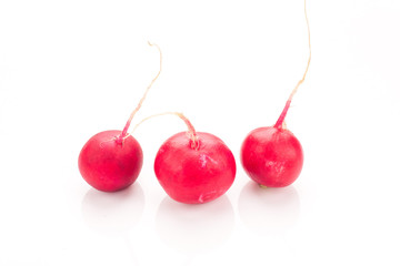 Fresh radish isolated