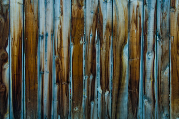 Old blue wood texture after rain