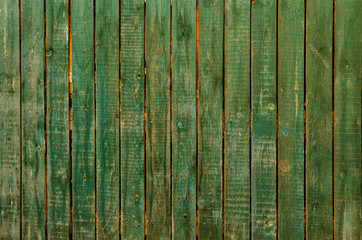 The green wood texture with natural patterns