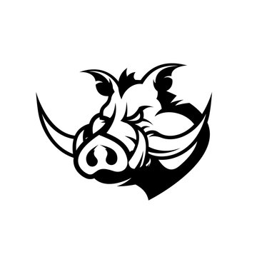 Furious boar head sport club vector logo concept isolated on white background