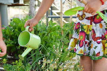 Gardening planting watering for kids 