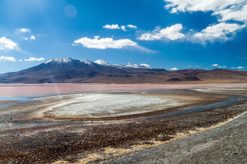 Laguna Colorada lake on bolivian Altiplano