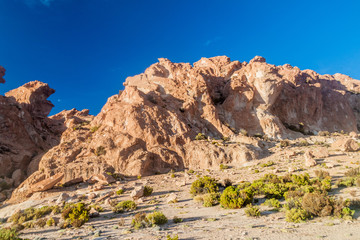 Fototapeta premium Landscape of bolivian Altiplano