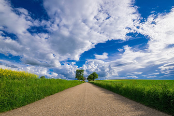 The street in the fields