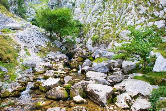 The Rio Bulnes leads along the Canal del Texu, a trackway between the village Bulnes and Poncebos, at the river Rio Cares in the Picos de Europa