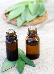 huile essentielle végétal,bio