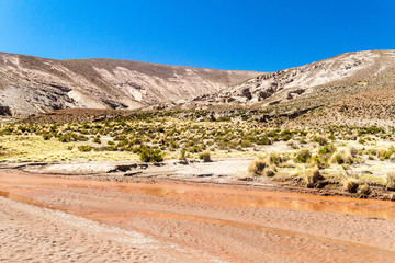 Landscape of bolivian Altiplano