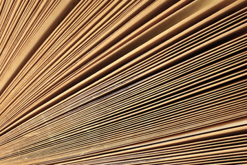 Pages. Macro view of old book pages