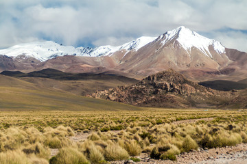 Fototapeta premium Snow covered mountains soaring from altiplano in Bolivia