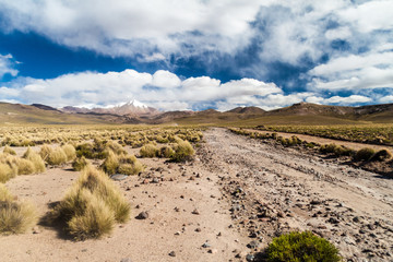 Road through altiplano in Bolivia