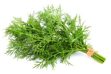 Bunch of fresh dill isolated.